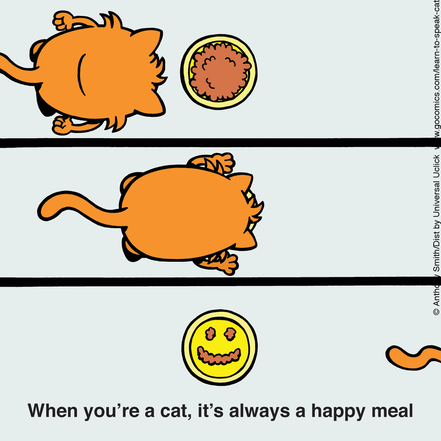 Learn to Speak Cat by Anthony Smith on Thu, 29 May 2025