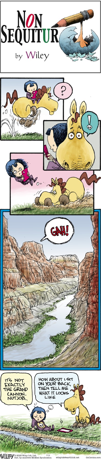 Non Sequitur by Wiley Miller on Sun, 11 May 2025