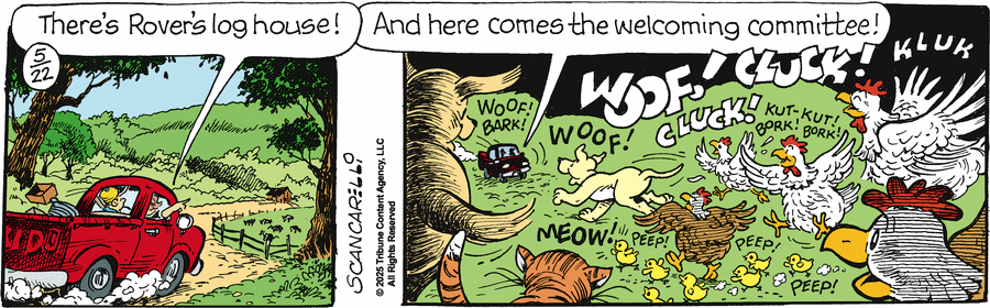Gasoline Alley by Jim Scancarelli on Thu, 22 May 2025
