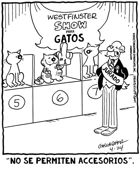 Heathcliff en Español by Peter Gallagher and George Gately on Thu, 24 Apr 2025