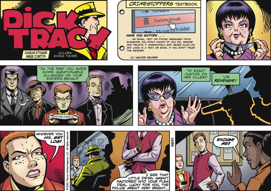 Dick Tracy by Charles Ettinger and Joe Staton and Mike Curtis on Sun, 01 Jun 2025