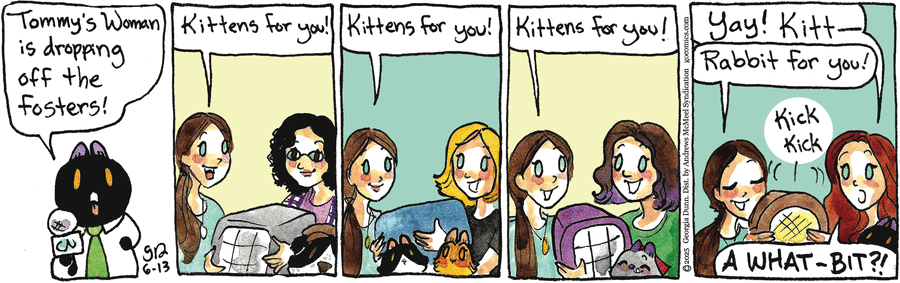 Breaking Cat News by Georgia Dunn on Fri, 13 Jun 2025