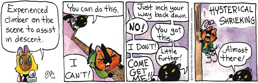 Breaking Cat News by Georgia Dunn on Fri, 06 Jun 2025