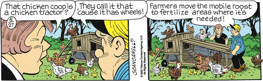 Gasoline Alley by Jim Scancarelli on Tue, 27 May 2025